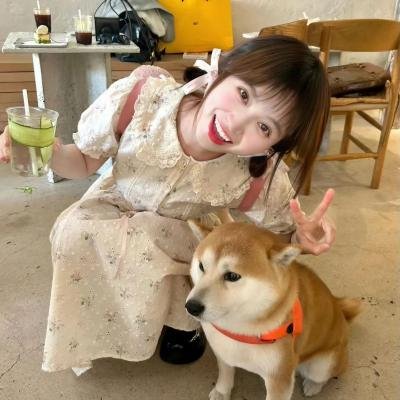 证词海报